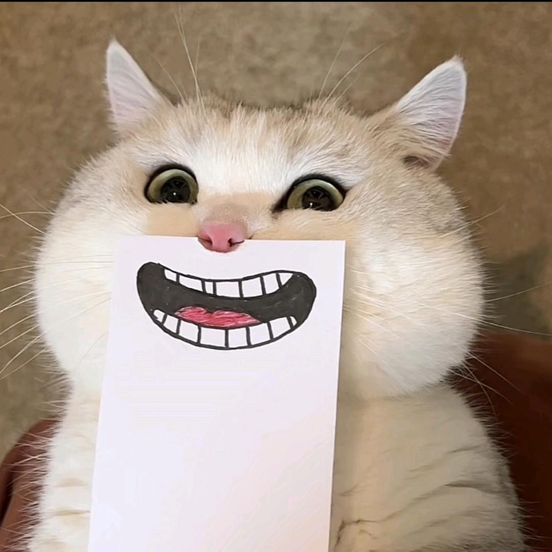 🌈你赖东东不错嘛