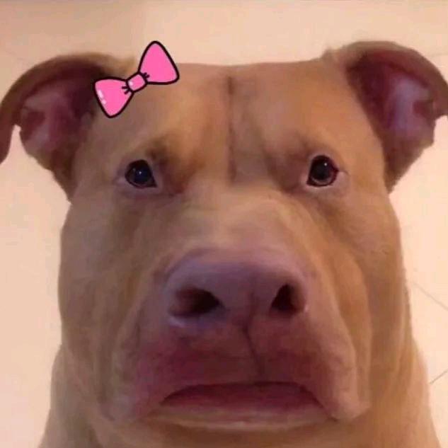 王呆呆超美