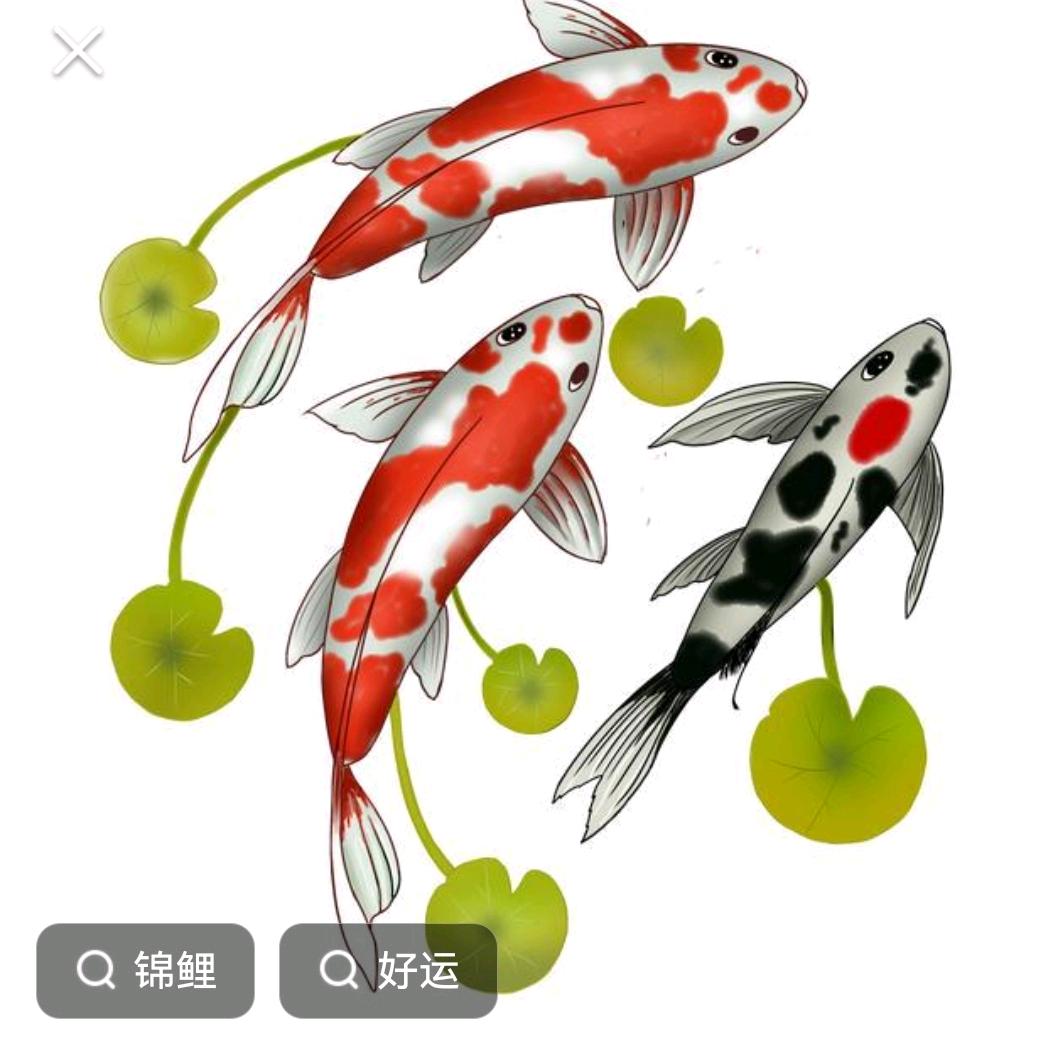 奇迹再现：