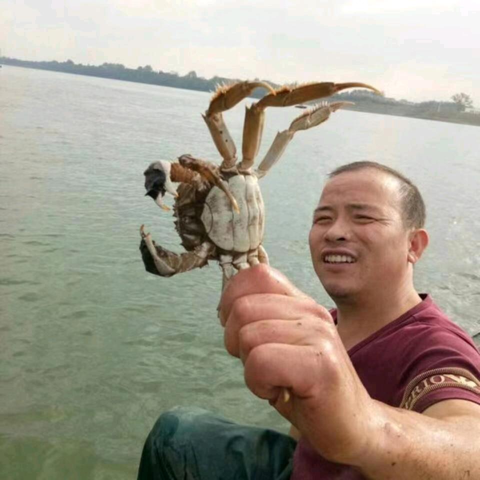 鱼夫：超哥