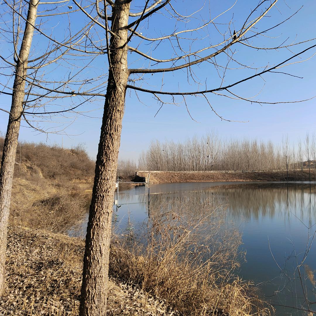 厨禾快餐（建设西大街与胜利南路交叉口路南