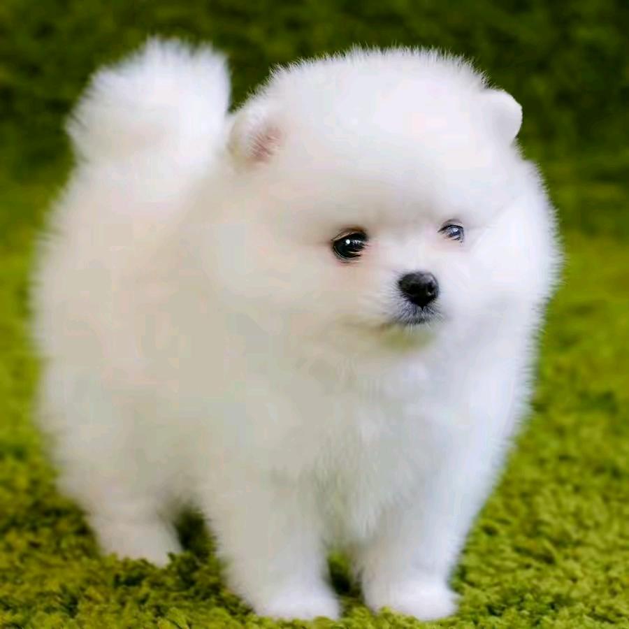 封❤️❤️锁爱