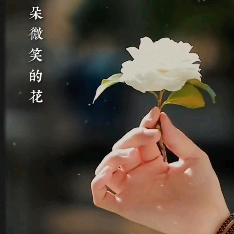 蒋芳芳