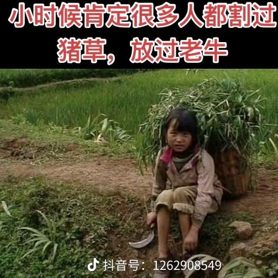 熬过就是重生