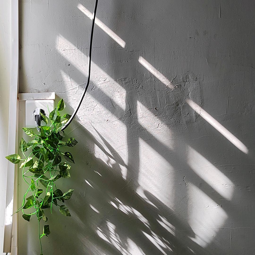 爱吃鱼皮嘎嘣脆