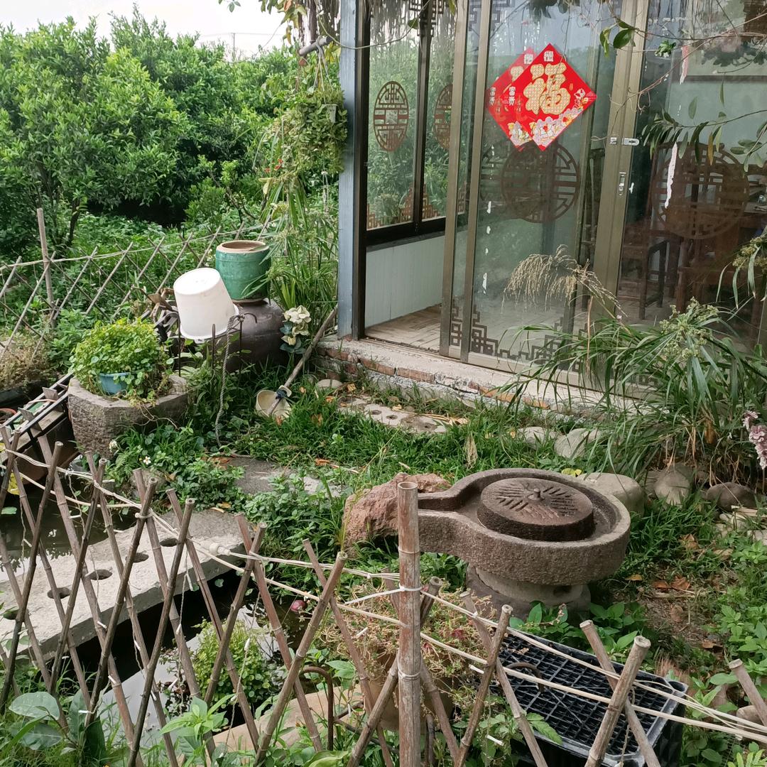 广雅行