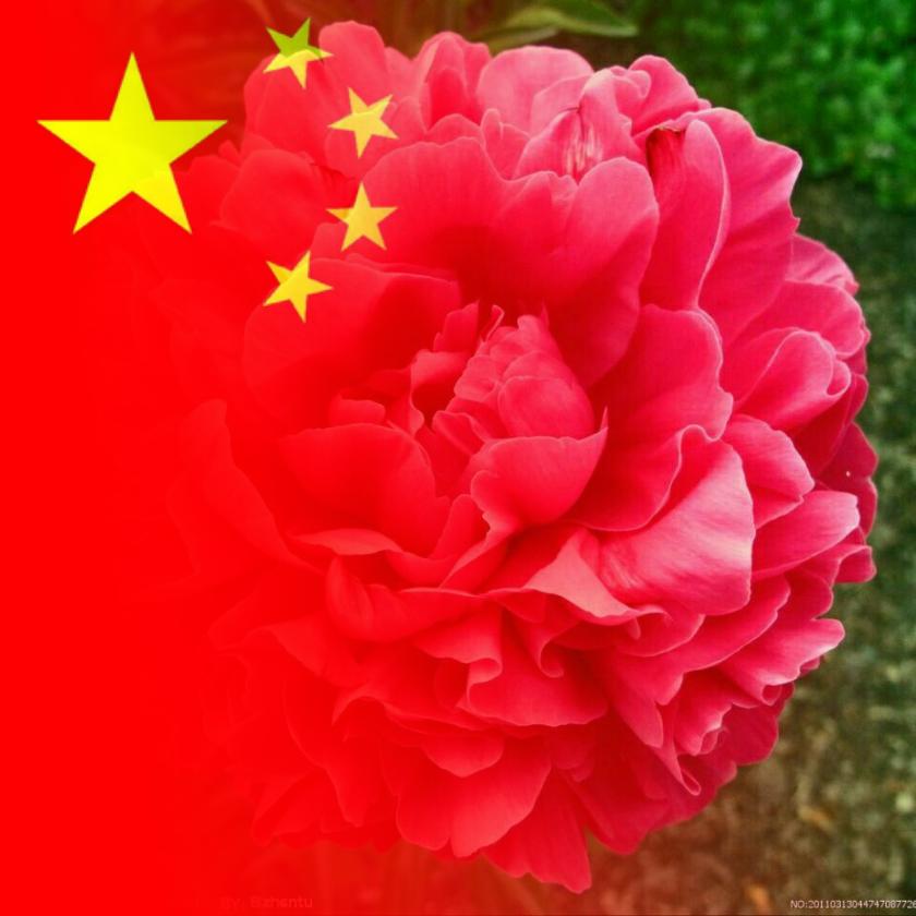 袁