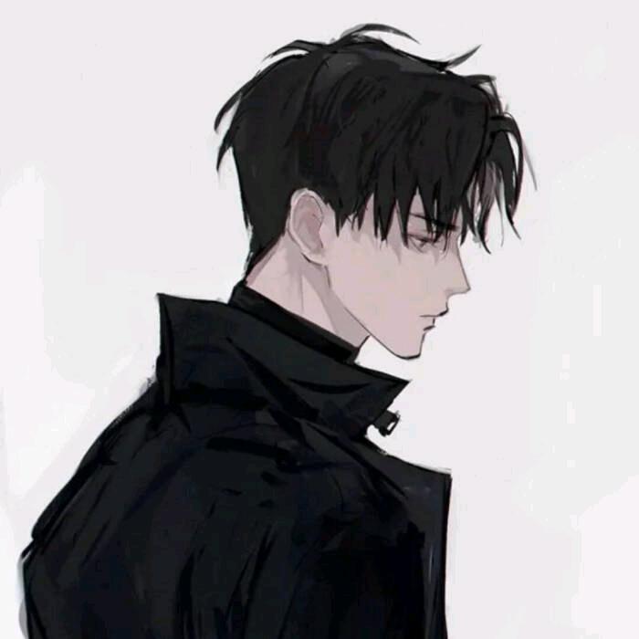 龙 十 安