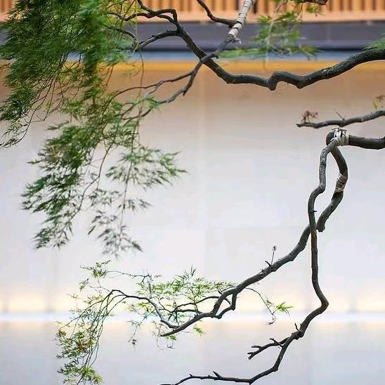 高端系统门窗.阳光房私人订制