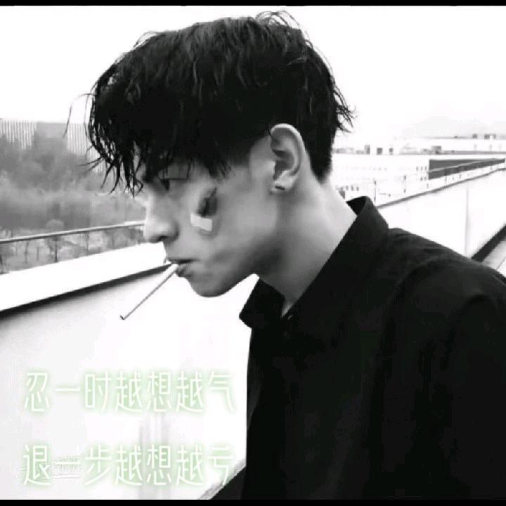 向来缘浅何来情深