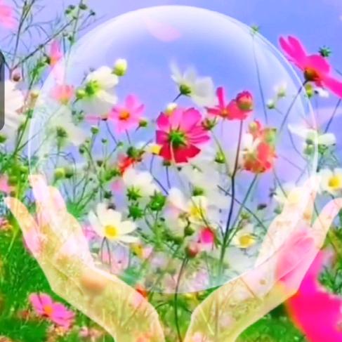 香芋美景