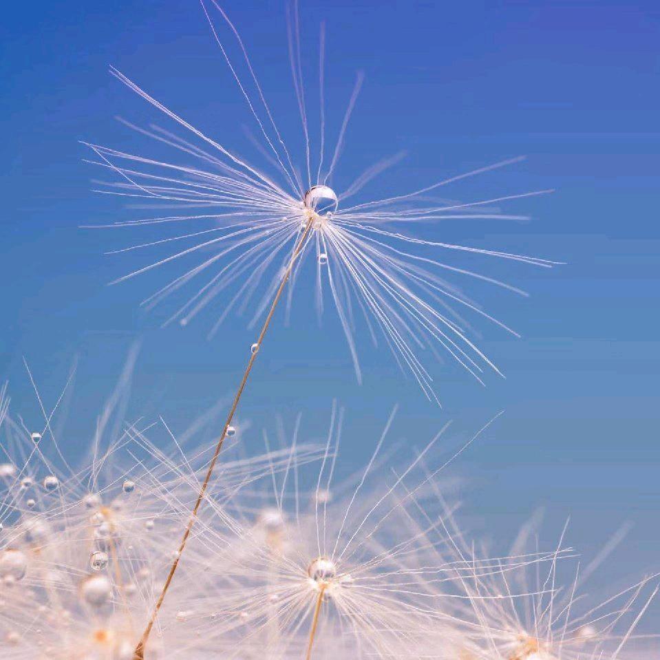 平遥闫舂丽凉糕