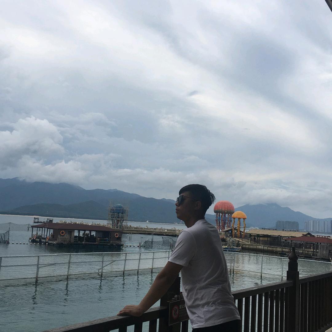 流金岁月～飞