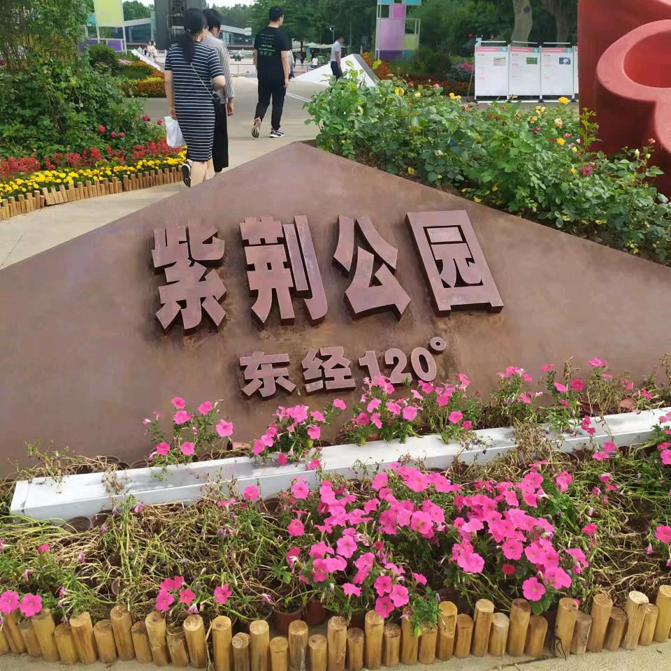 平淡的生活