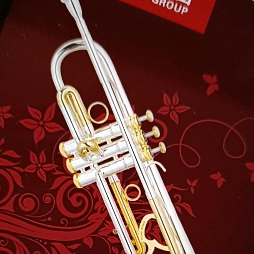 （弦味坊）首席高音🎺.高博