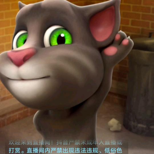 红豆