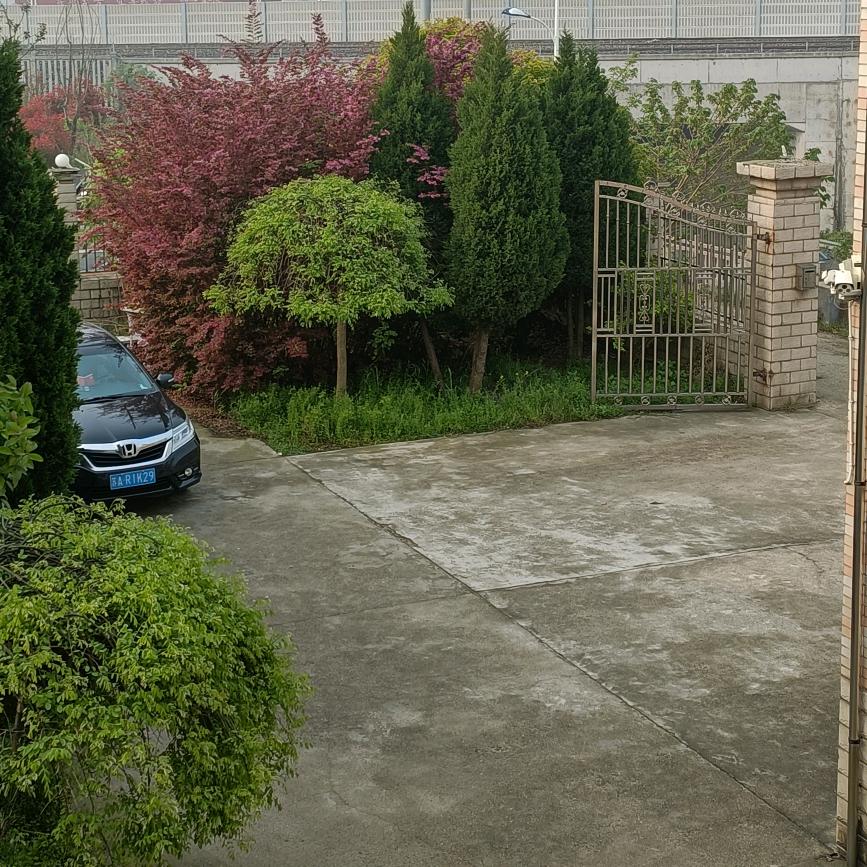 猛先