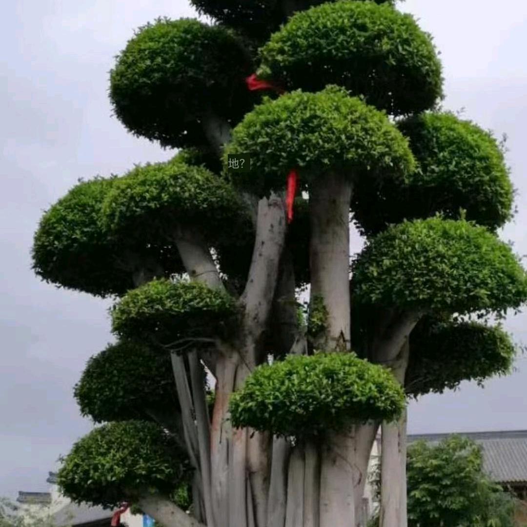 .开心快乐每一天