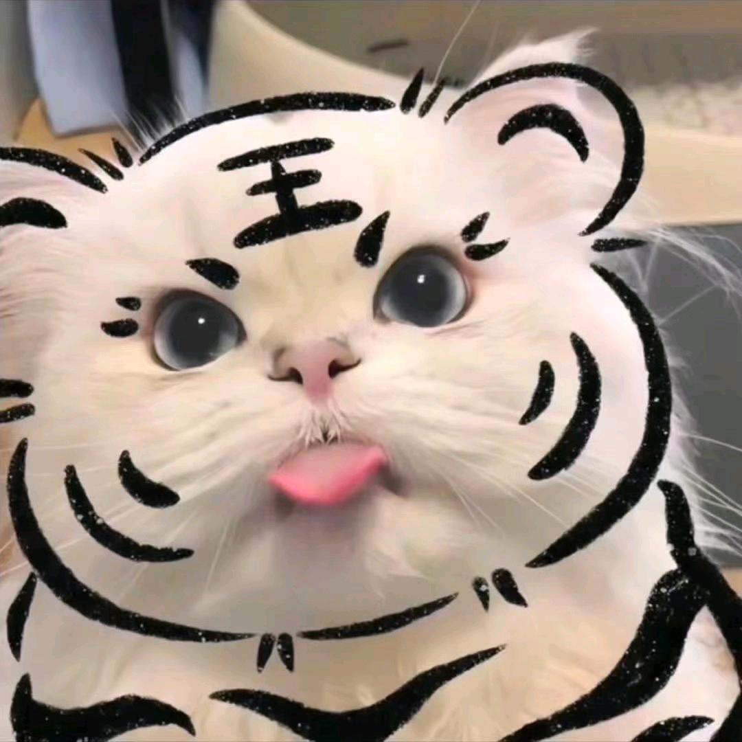等你嫁我
