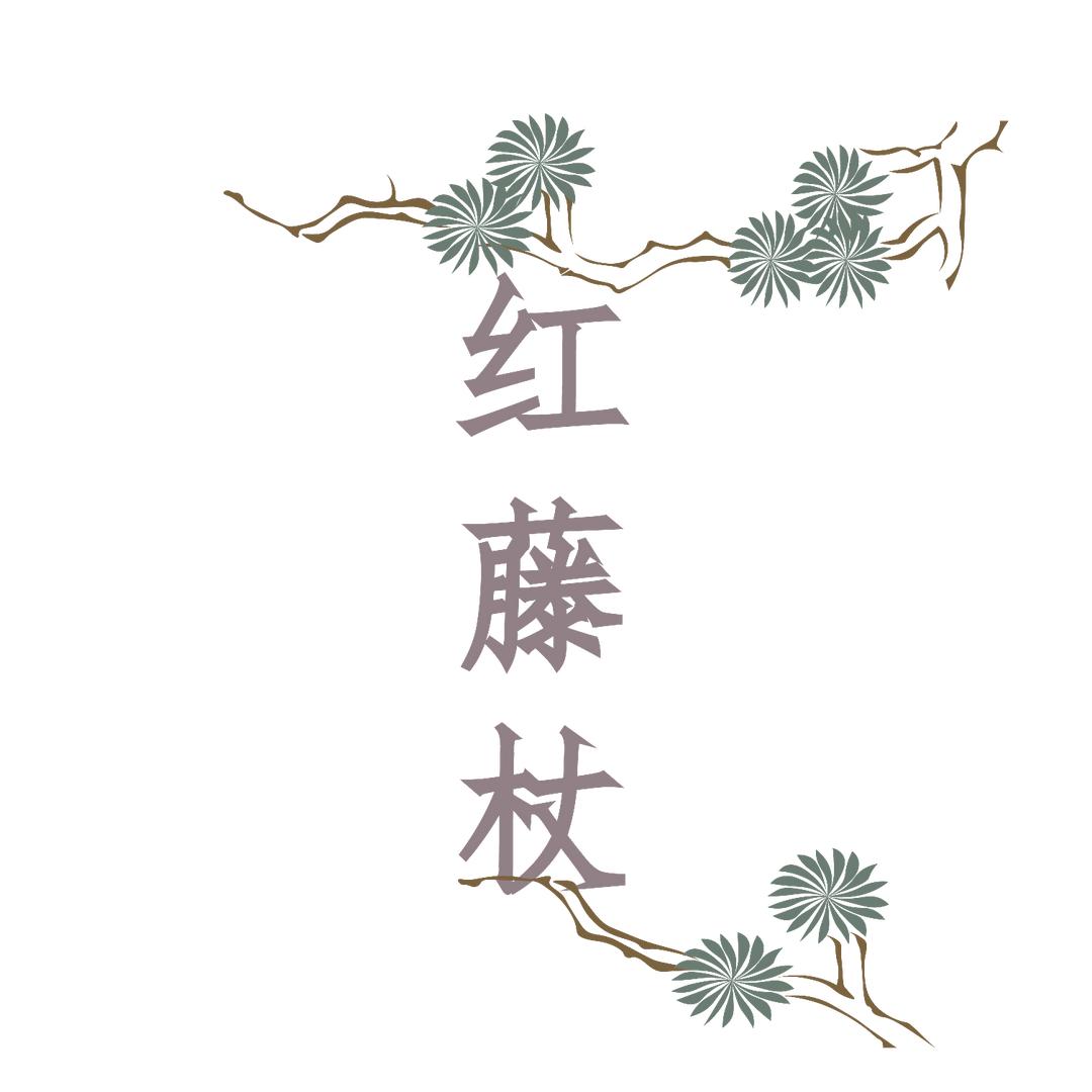 红藤杖配饰工作室