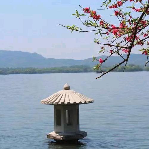 阿颖优选