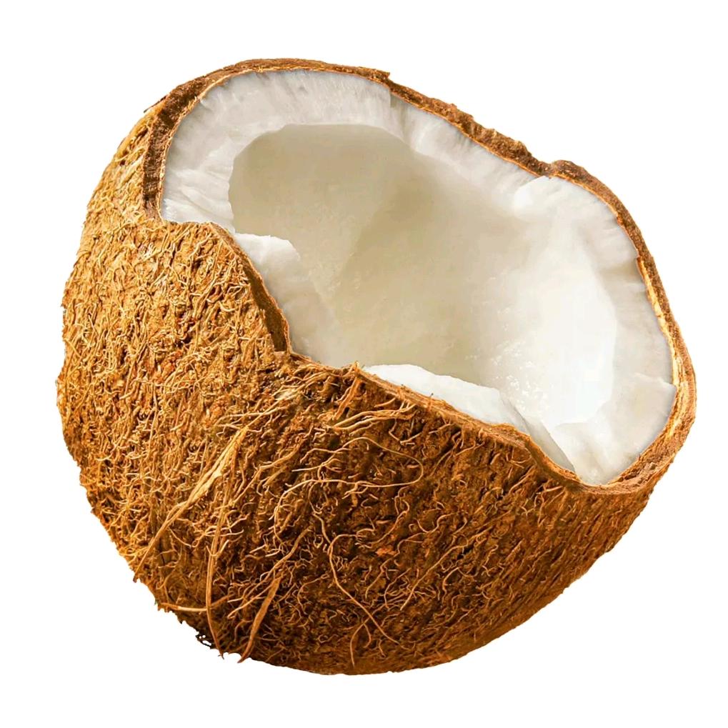 *椰子壳壳🥥