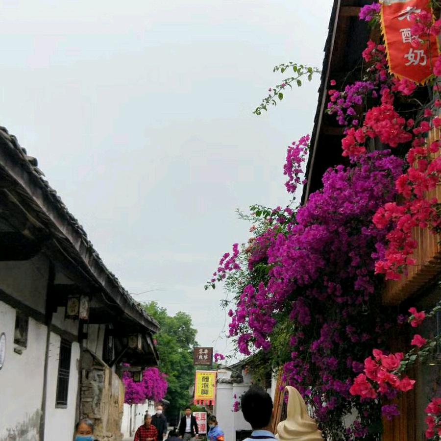 阳光明媚