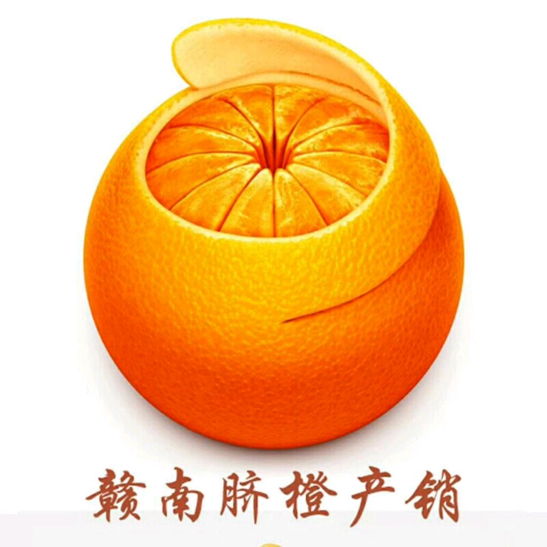 阿斌🍊赣南脐橙产销🍊