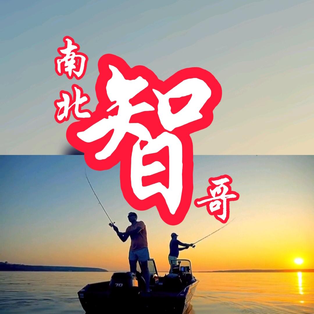 南北智哥