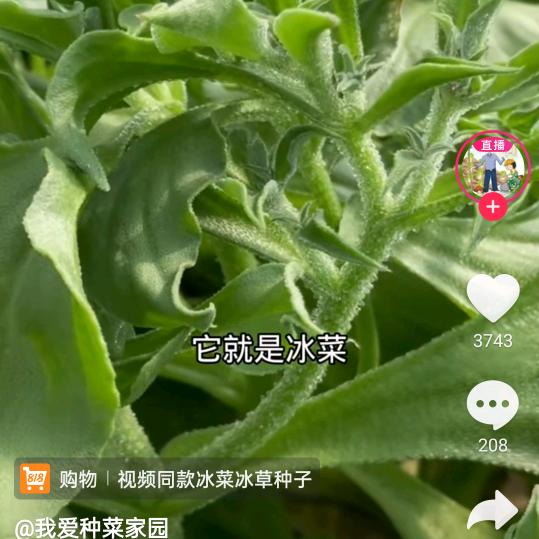 过去的事情就忘了