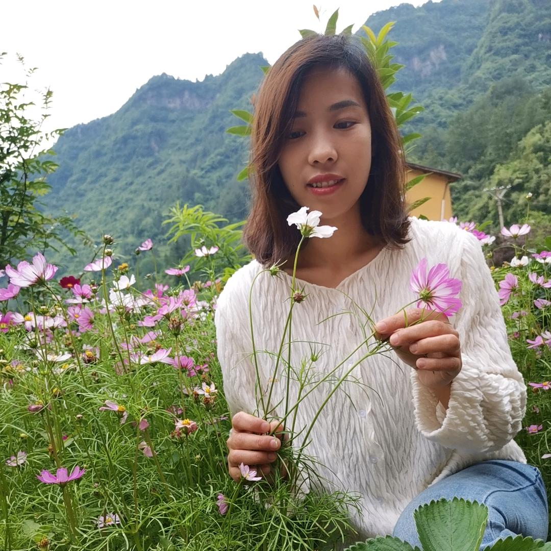 心梦奇缘