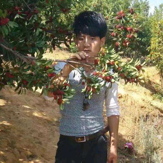 清晨🌹🌹🌹🌹