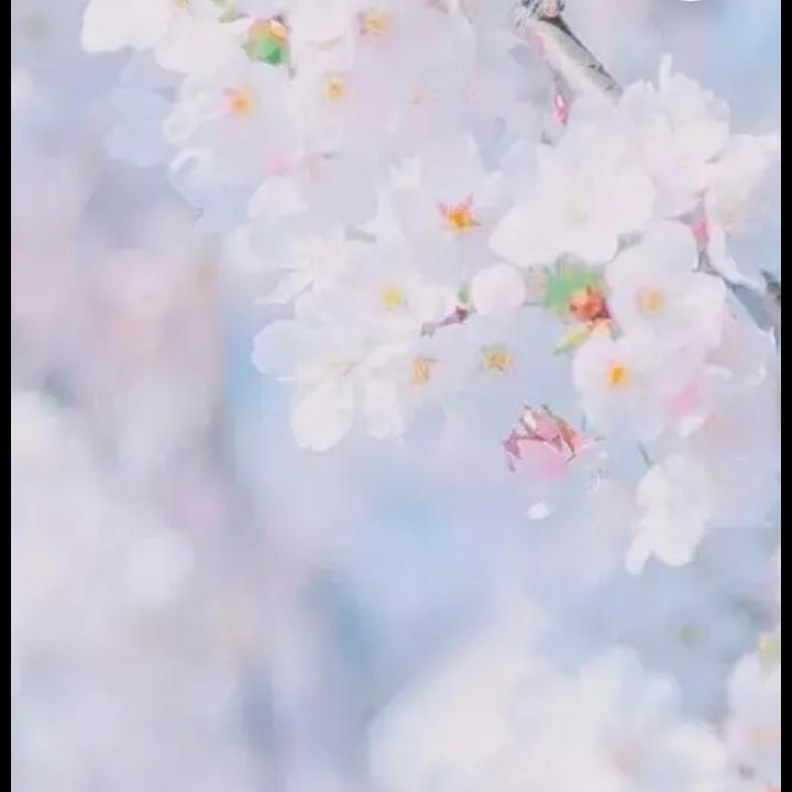 蒋万春