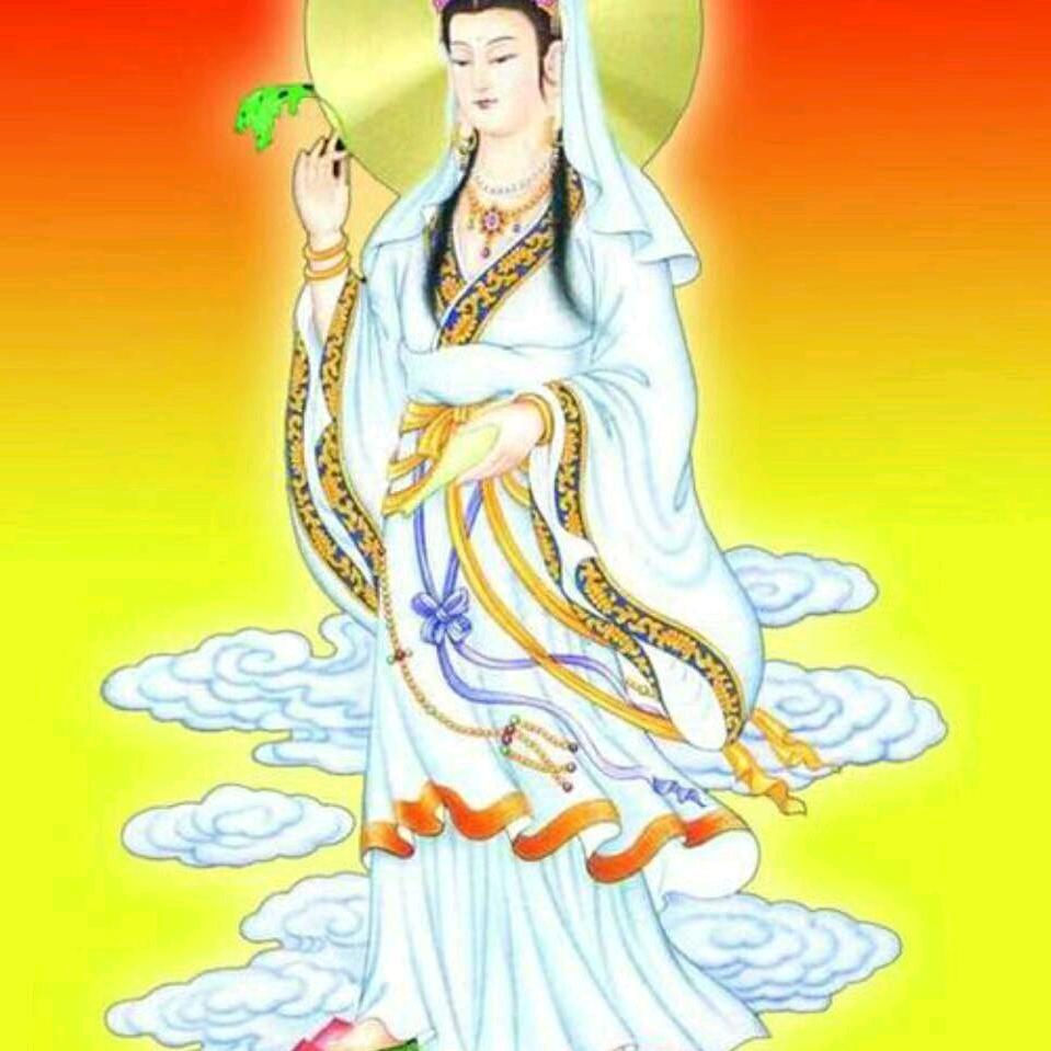 一切随缘