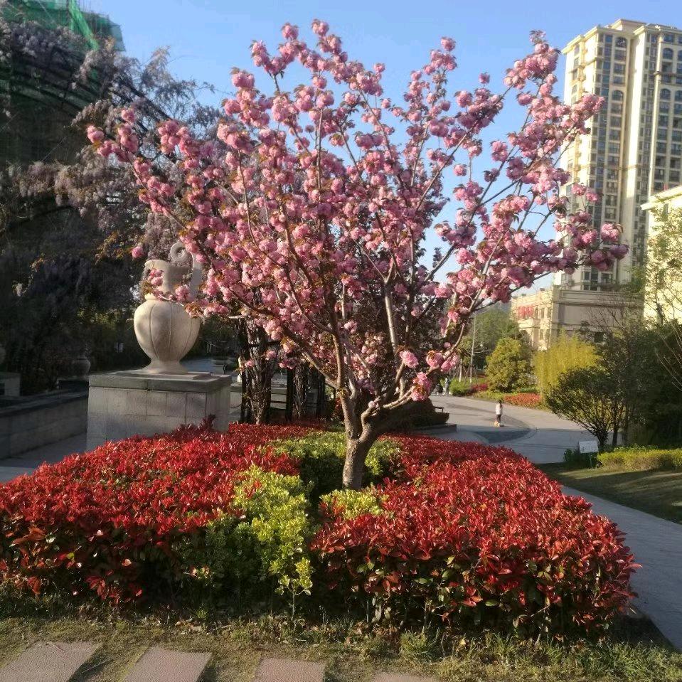 快乐每一天🌹❤️