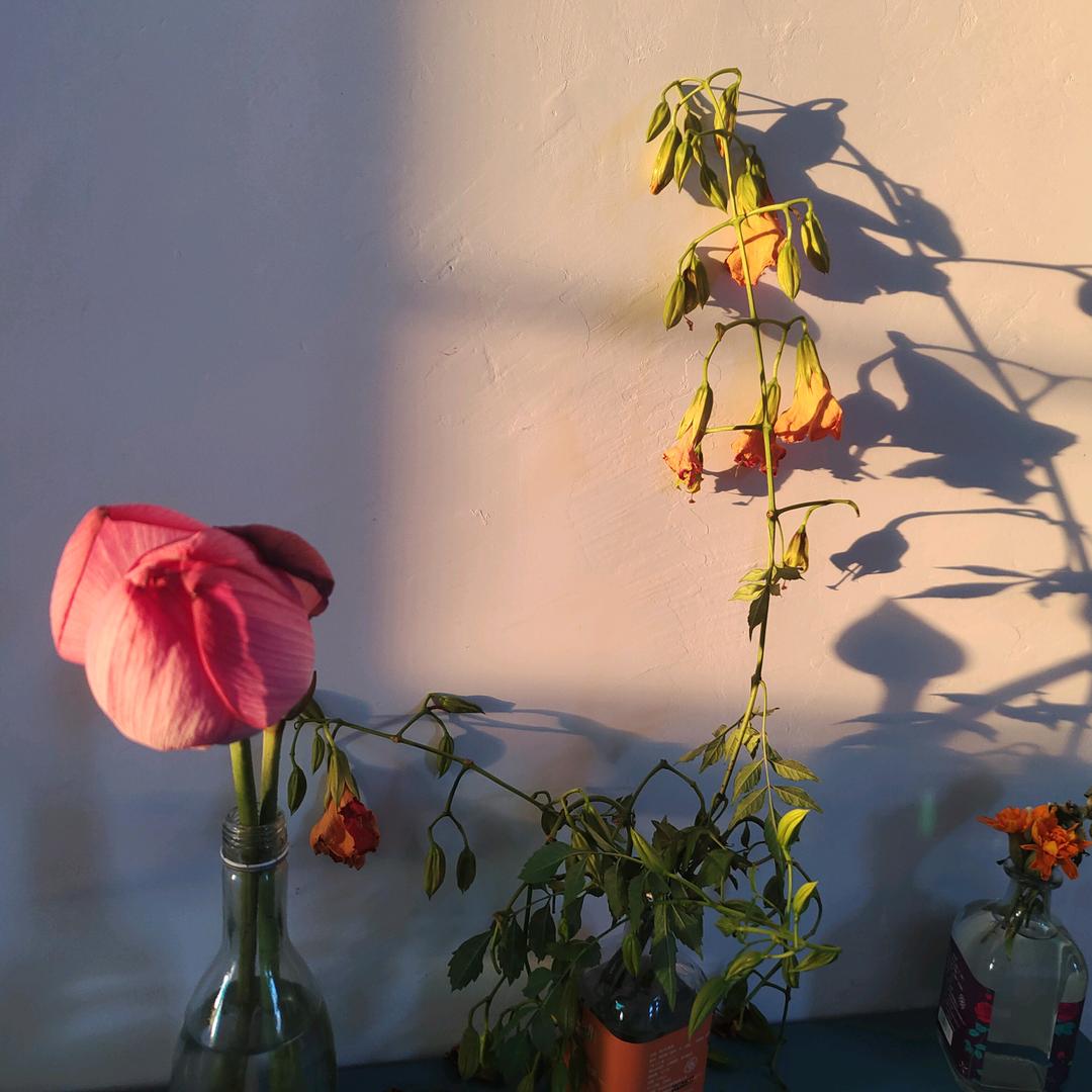 最爱我家的莹莹宝贝🌷🌷🌷