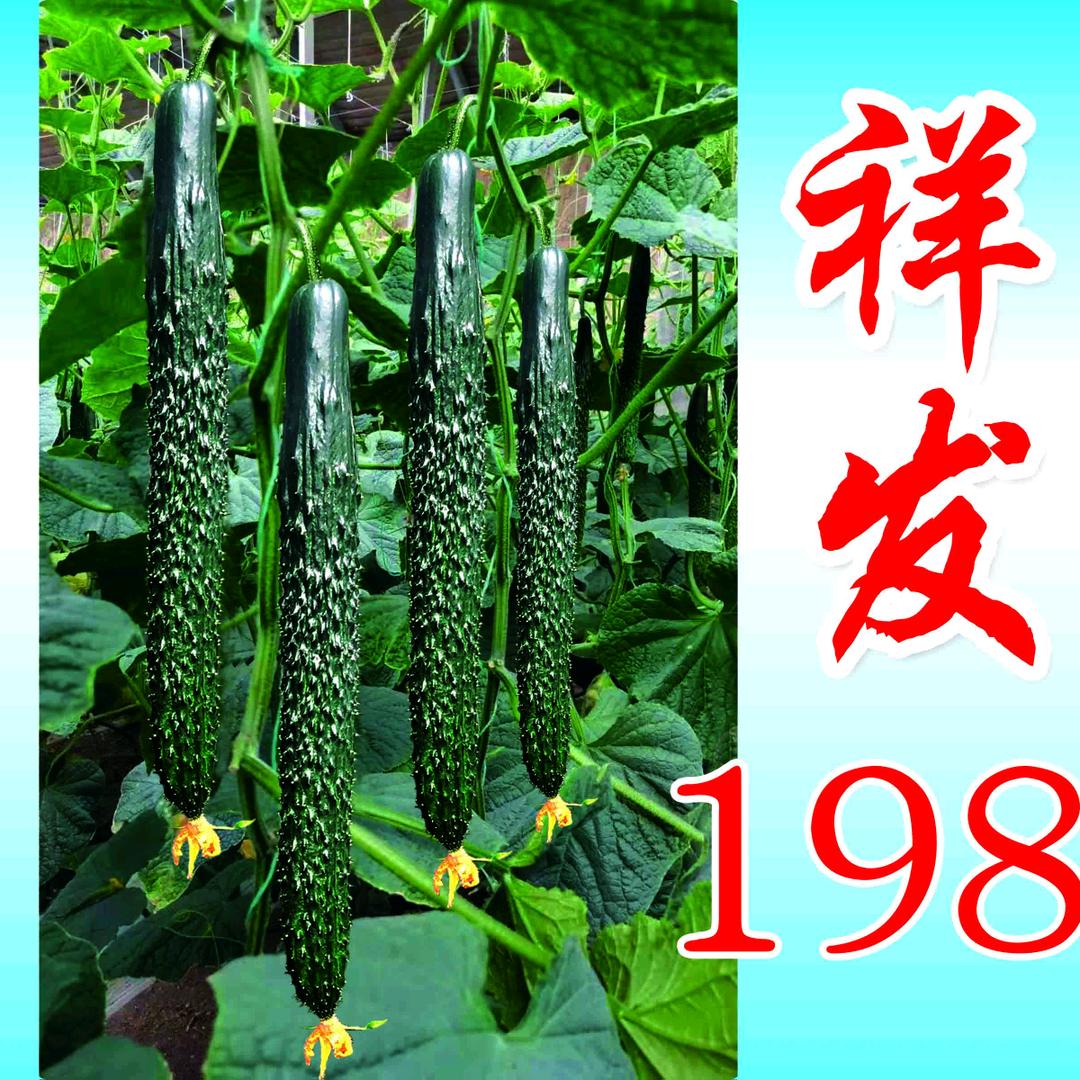 祥发种苗成家祥