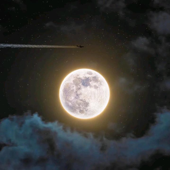 勇敢，牛牛