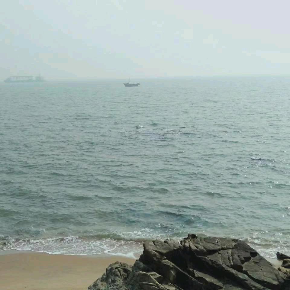 奋斗的阳光