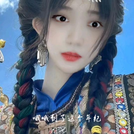 灿烂的人生