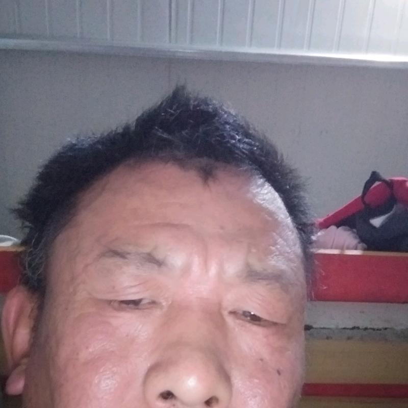人生