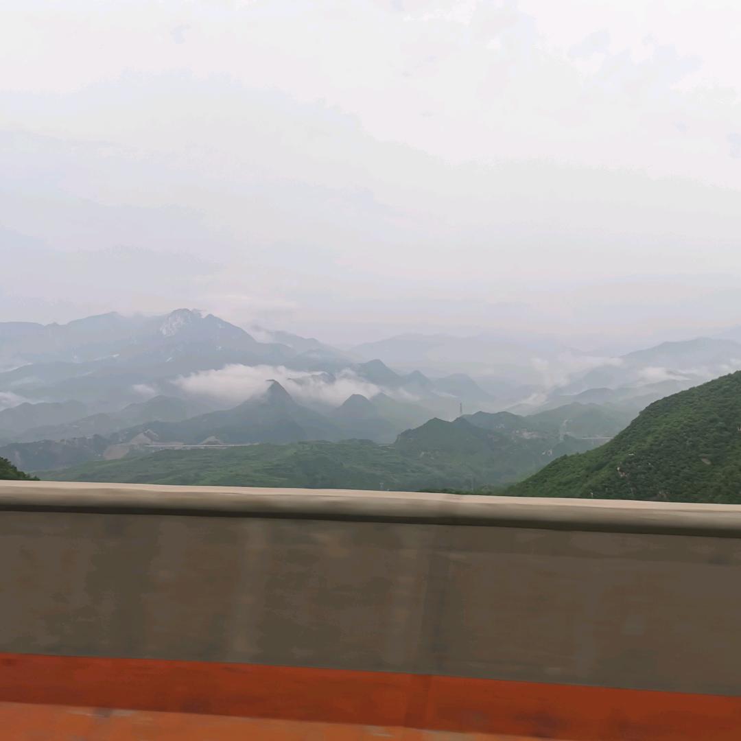 香菜杜绝者