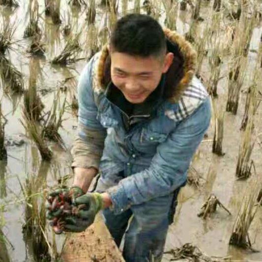 成都易鲜生农业科技有限公司分之