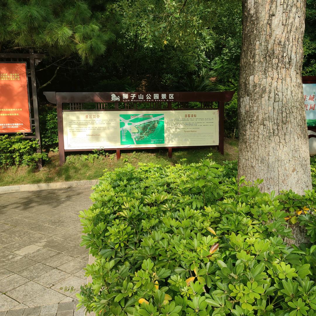 月亮的环形山