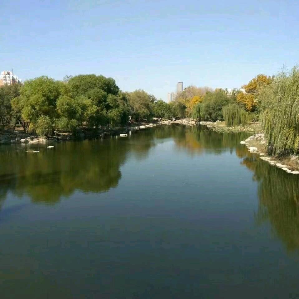 嫵钶取玳°龙666