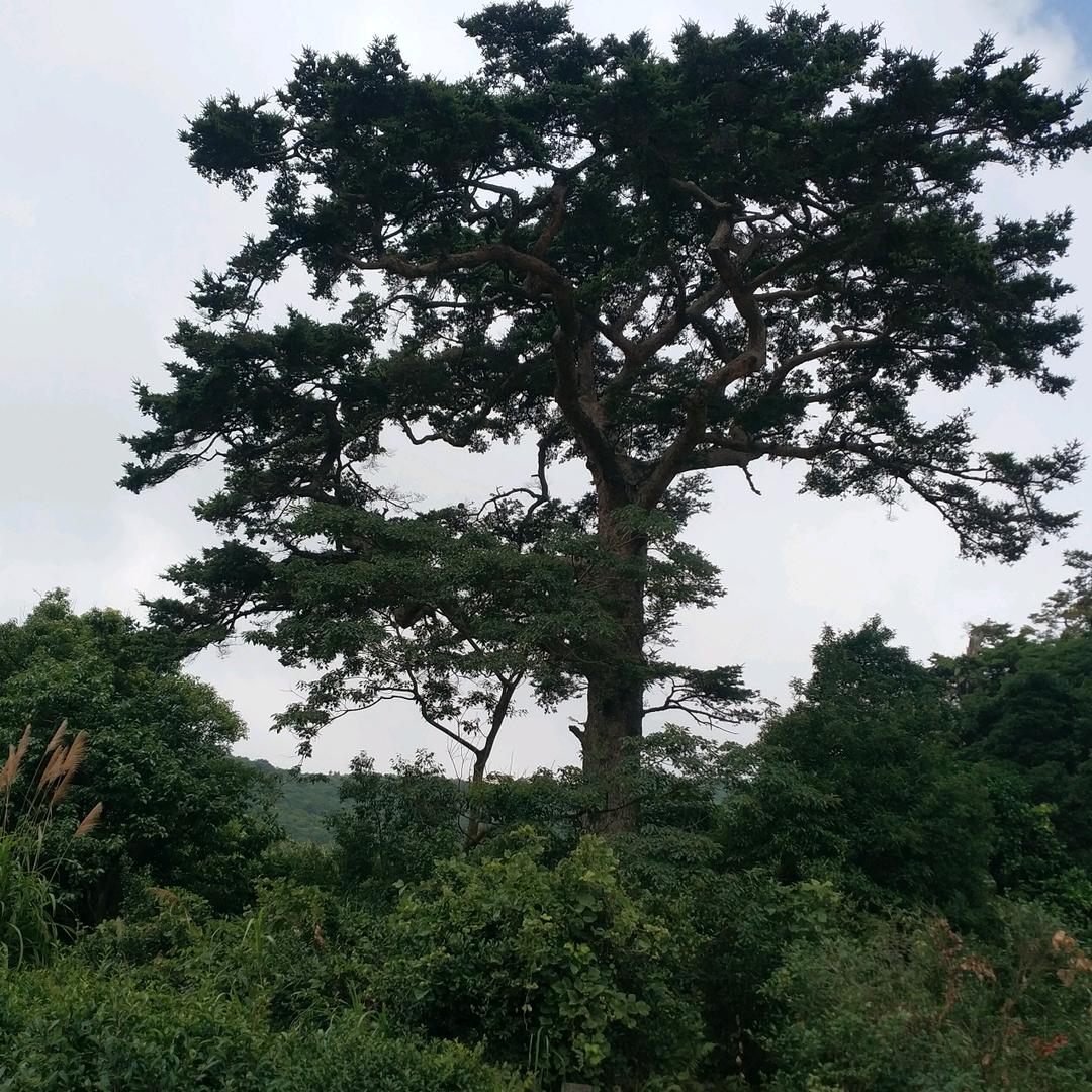 一生有你