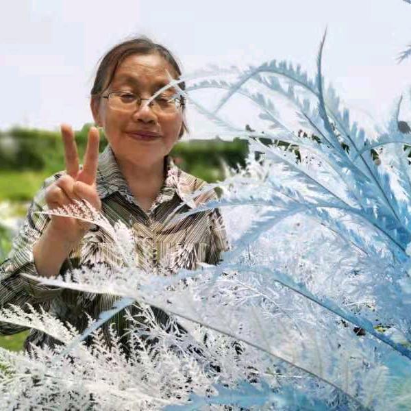 志英--