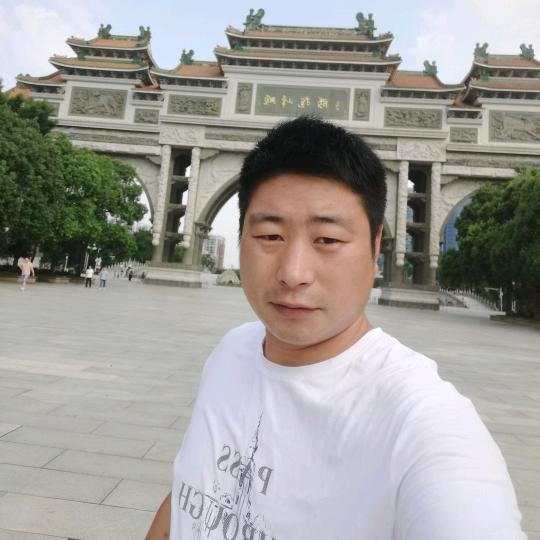 佛山至河南专线