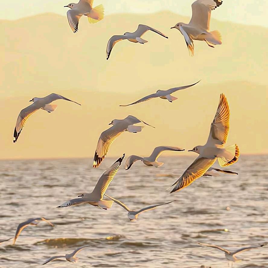 为生活而努力，加油