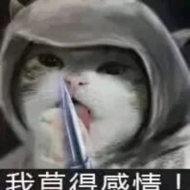 凌云灵
